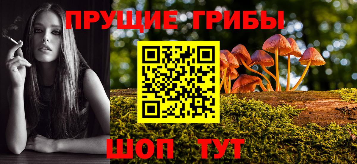 магазин продажи наркотиков  Вход с VPN  Ухта  Галлюциногенные грибы GOLDEN TEACHER  Галлюциногенные грибы MAGIC MUSHROOMS 