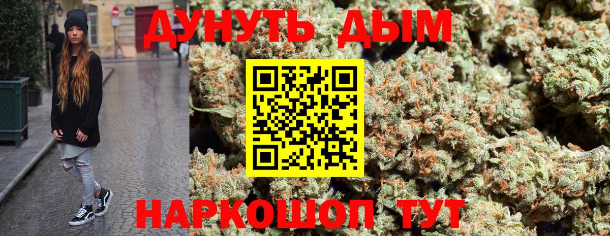 Каннабис планчик Ухта